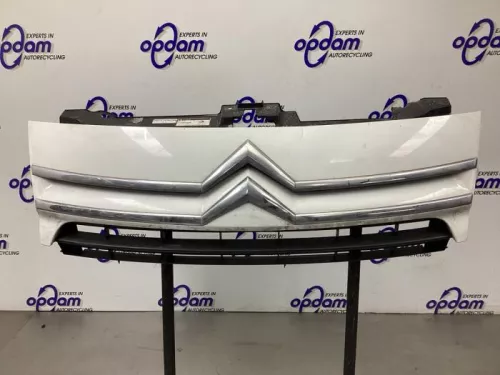 Grille-8266228