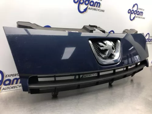 Grille-8207507 (20959142)