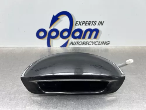 Handgreep Achterklep-8301353
