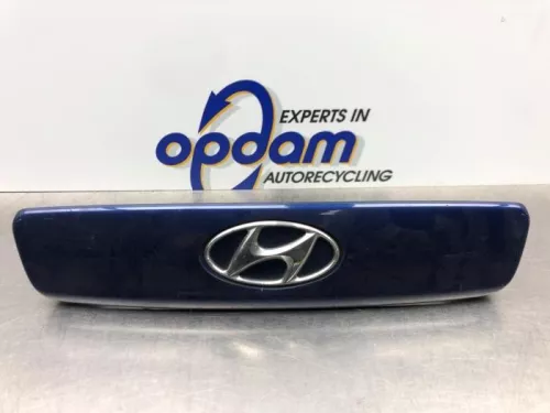 Handgreep Achterklep-7620171