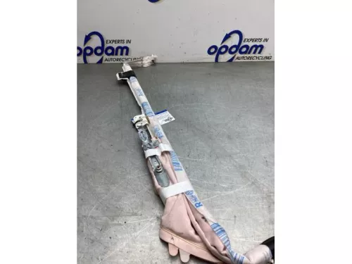 Hemel Airbag-8300843 (22618811)