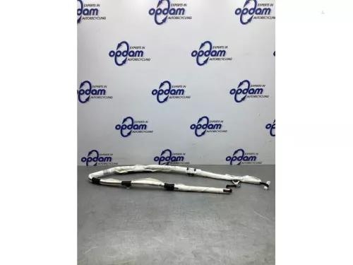 Hemel Airbag-8117442 (20516866)