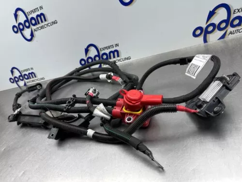 HV kabel (hoog voltage)-8246769 (22152785)