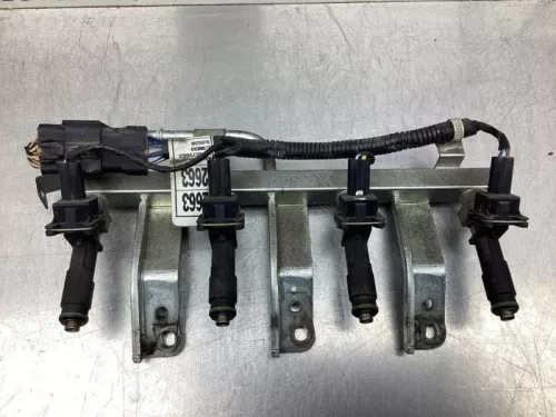 Injector (benzine injectie)- (18666869)
