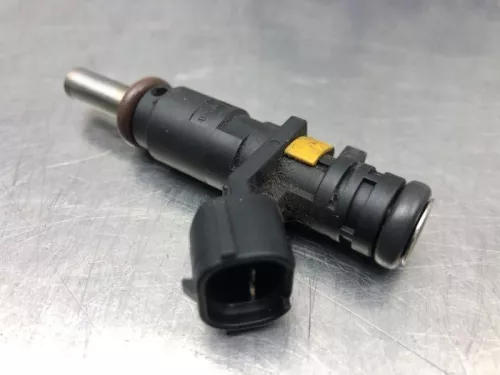 Injector (benzine injectie)- (20557118)
