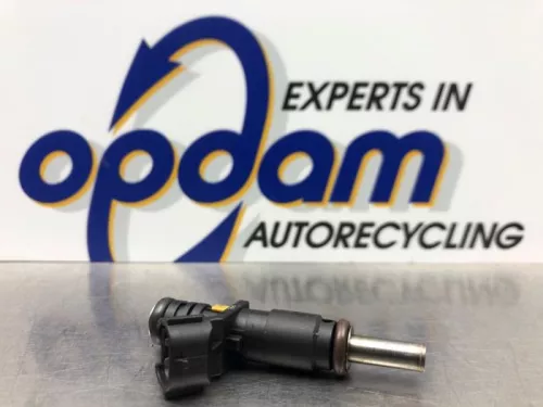 Injector (benzine injectie)- (20557118)
