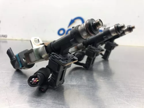 Injector (benzine injectie)-8144999 (20162998)