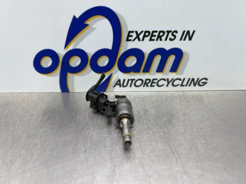 Injector (benzine injectie)-8170330 (22057801)