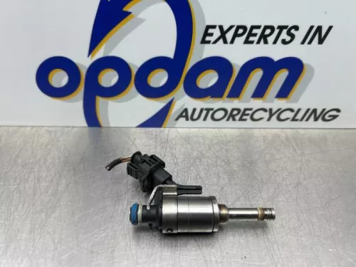 Injector (benzine injectie)-8170330 (22057802)