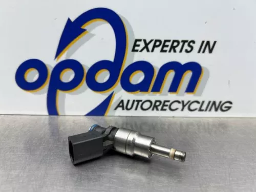 Injector (benzine injectie)-8072354 (22049619)