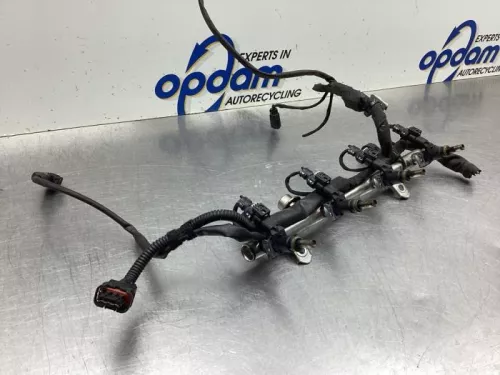Injector (benzine injectie)-7994369 (19376204)