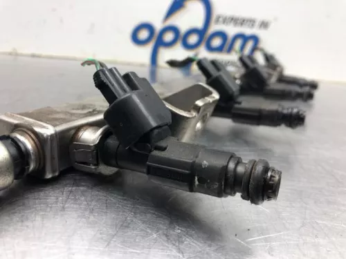 Injector (benzine injectie)-8114189 (19760011)