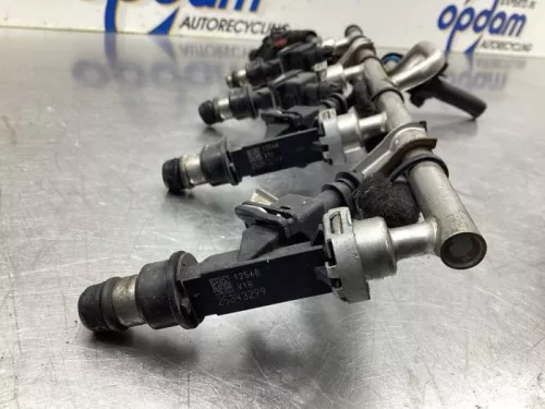 Injector (benzine injectie)-8040208 (19319814)
