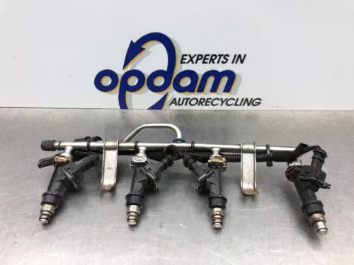 Injector (benzine injectie)-8216902 (21249750)