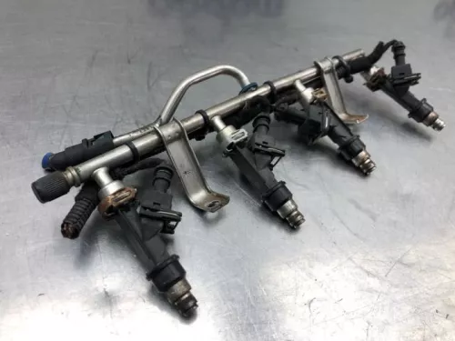 Injector (benzine injectie)-8216902 (21249750)