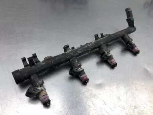 Injector (benzine injectie)-8130974 (21489520)