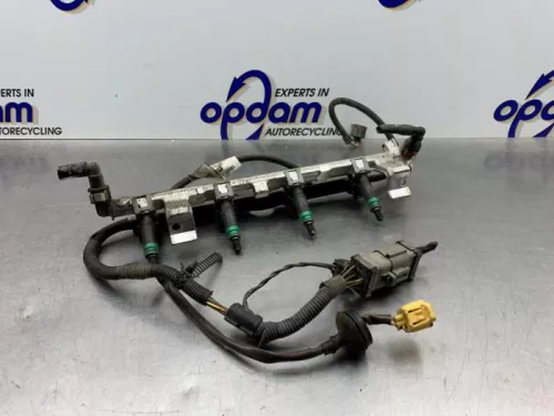 Injector (benzine injectie)-8220831