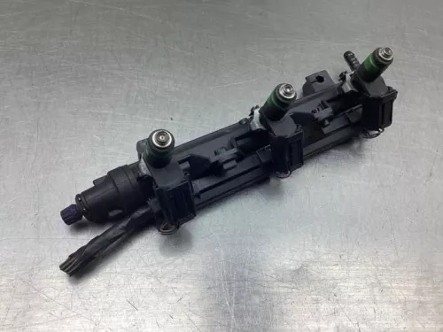 Injector (benzine injectie)-8106106 (19938191)