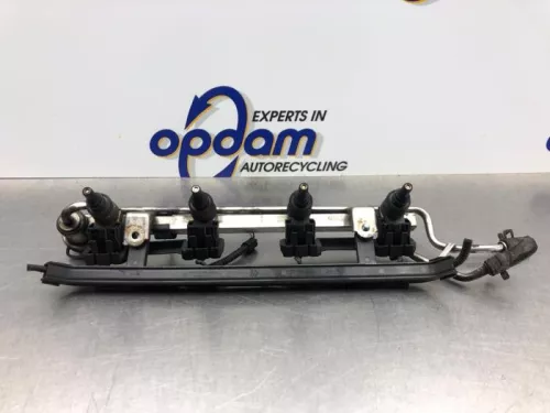 Injector (benzine injectie)-8211364 (21007875)