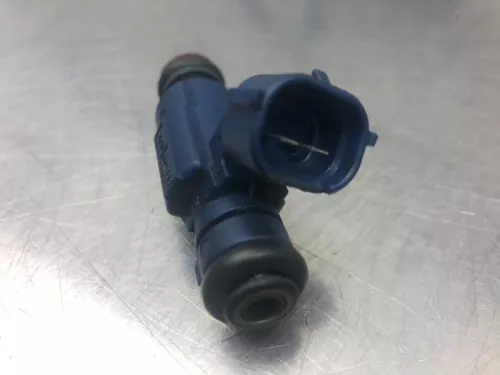 Injector (benzine injectie)- (19061064)