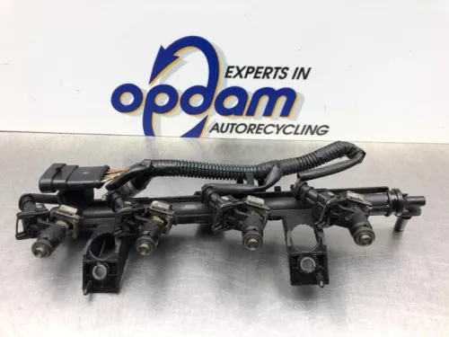 Injector (benzine injectie)-8250229 (21848193)