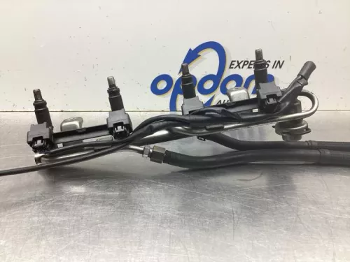 Injector (benzine injectie)-8105766 (19561511)