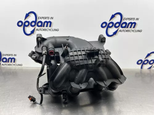 Inlaatspruitstuk-8213510