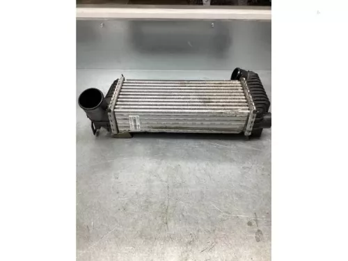 Intercooler-7855005 (17766646)