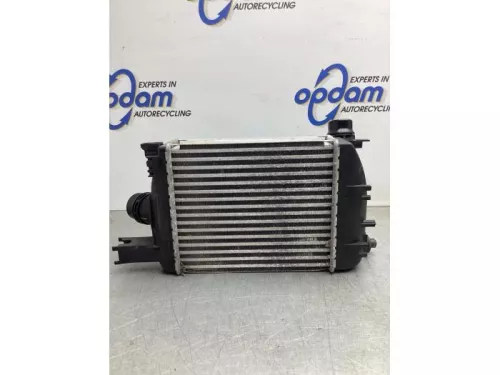 Intercooler-8152617 (21104083)