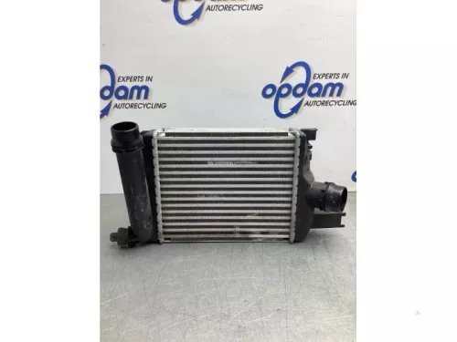 Intercooler-8152617 (21104083)