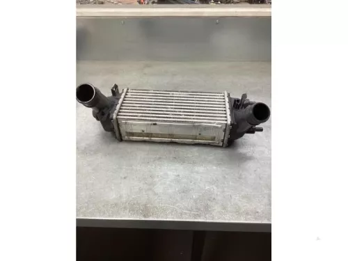 Intercooler-8073289 (20819748)