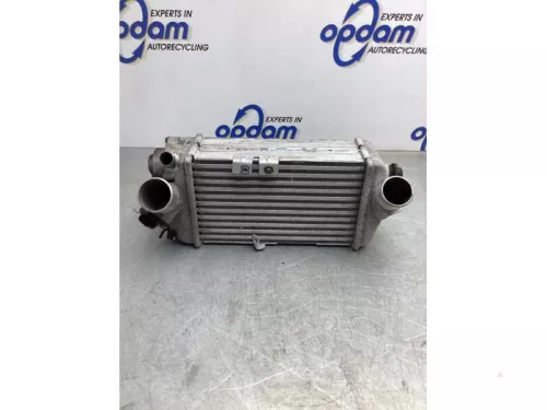 Intercooler-8051491 (19041170)