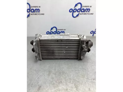 Intercooler-8051491 (19041170)