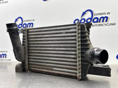 Intercooler-8152307 (21672480)