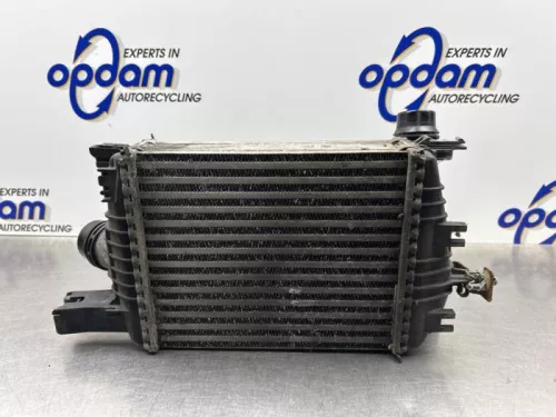 Intercooler-8152307 (21672480)