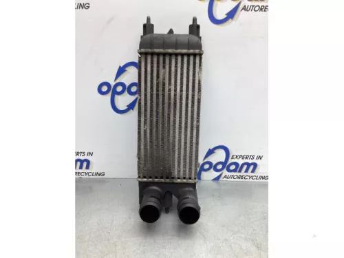 Intercooler-7868124 (17557928)