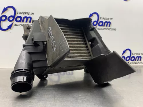 Intercooler-8187393 (21948256)