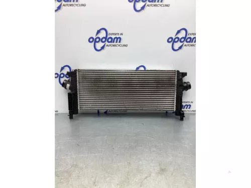 Intercooler-7714012 (17210011)