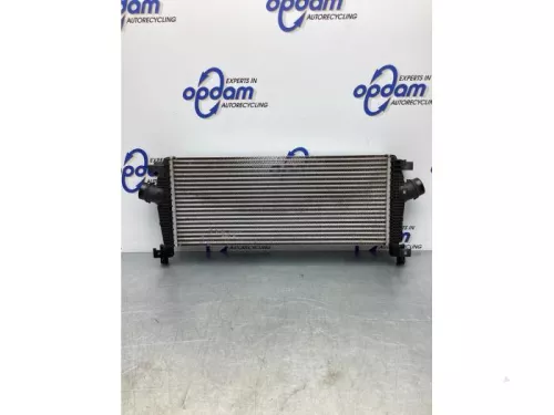 Intercooler-7714012 (17210011)