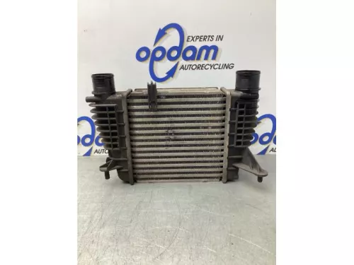 Intercooler-7975829 (18904705)