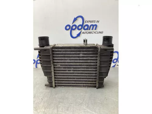 Intercooler-7975829 (18904705)