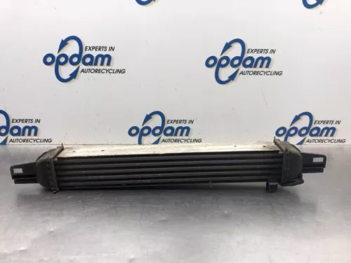 Intercooler-8075936 (19661913)