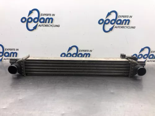 Intercooler-8075936 (19661913)