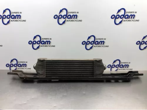 Intercooler-8236956 (21744294)