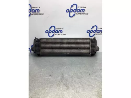 Intercooler-7717666 (17467384)