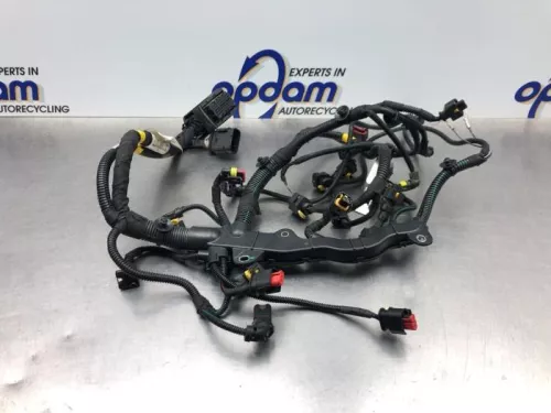 Kabelboom motorruimte-7882028 (21188119)