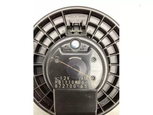 Kachel Ventilatiemotor-8061244 (19585519)